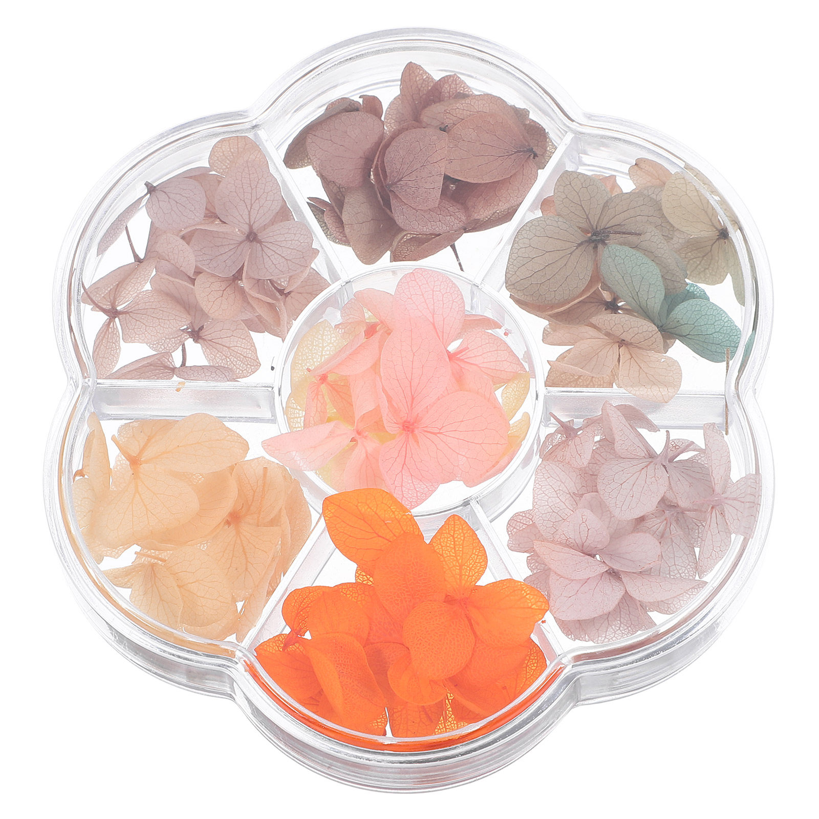 50pcs Dried Maple Leaves for N - огляд і ціна Art And Craft Autumn